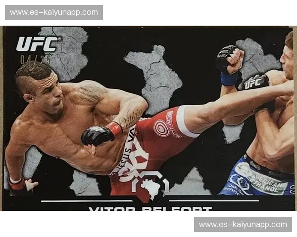 积分榜UFC：把握格斗世界的每一次冲击
